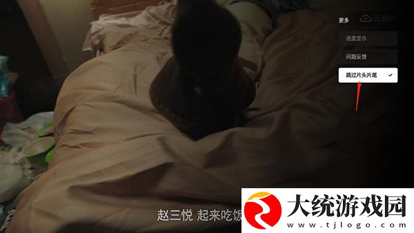 三天更新一次网域vip共享版