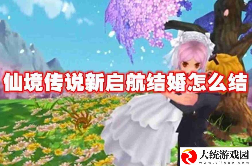 仙境传说新启航怎么结婚