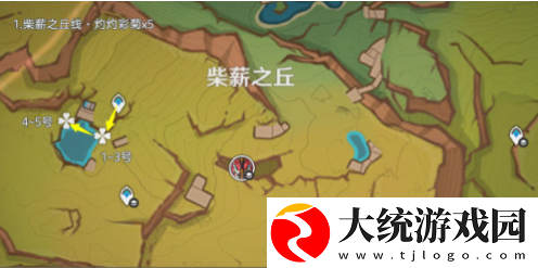 原神5.1灼灼彩菊在哪刷新