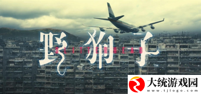 野狗子奇才怎么获得