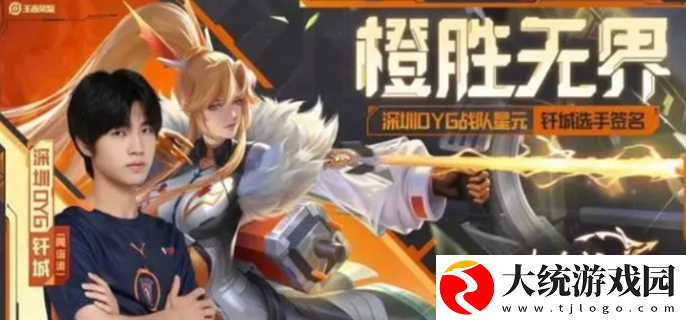 王者荣耀伽罗橙胜无界星元皮肤多少钱