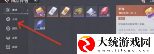 归龙潮