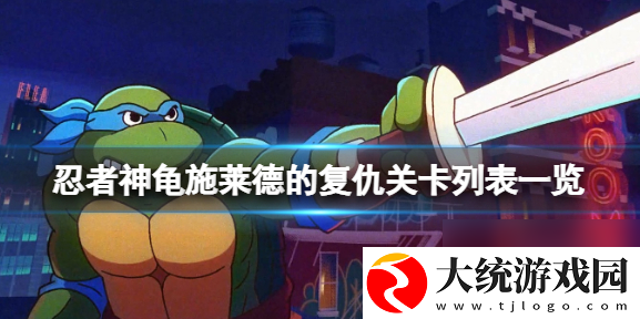 忍者神龟施莱德的复仇一共几关