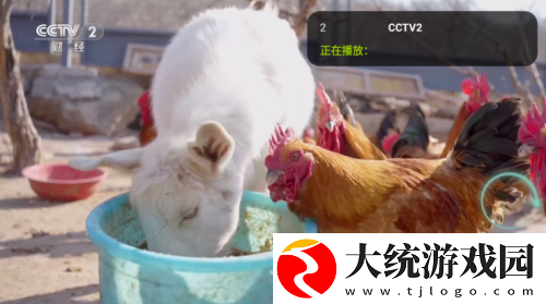 少女视频哔哩哔哩免费下载-少女视频哔哩哔哩免费无障碍语音版下载v7.18