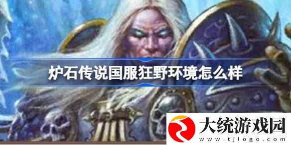 炉石传说国服狂野环境怎么样