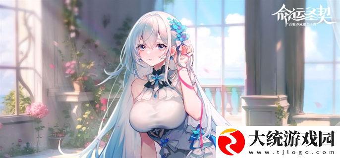 命运圣契星魂徽章怎么获得